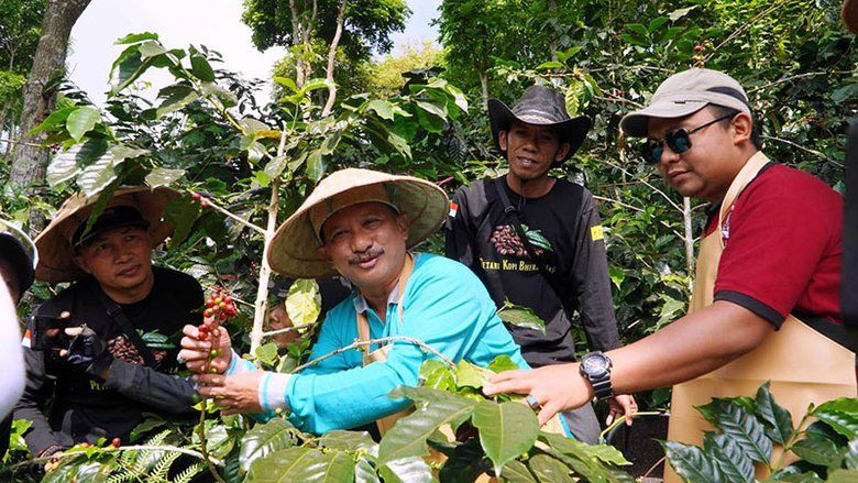 Bupati Situbondo Karna Suwandi Mengaku Puas Hasil Panin Kopi Lereng Gunung Argopuro