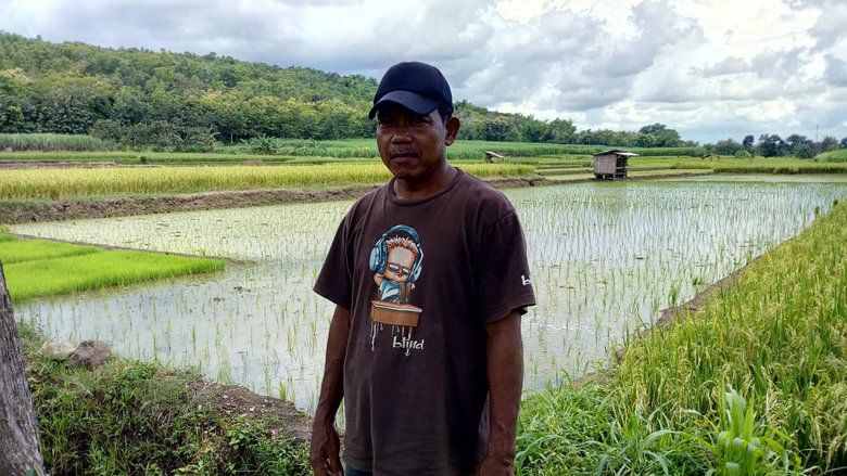 Produksi Padi Merosot Dampak Irigasi Tercemar Limbah Pasir