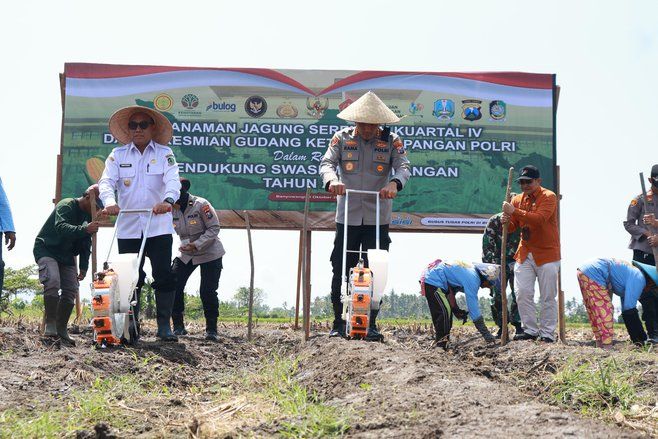 Banyuwangi Gelar Tanam Jagung Serentak Dukung Swasembada Pangan Nasional
