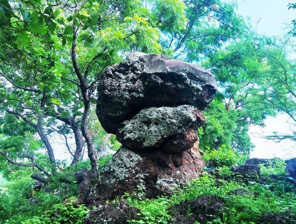 Legenda Batu Numpuk Baluran, dari Mistik hingga Nama Resor
