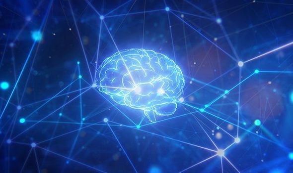 Ilmuwan Temukan Peluang Cara Perpanjang Kehidupan Setelah Mati