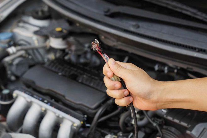 Cegah Tikus Merusak Kabel Mobil, Ini yang Harus Dilakukan 