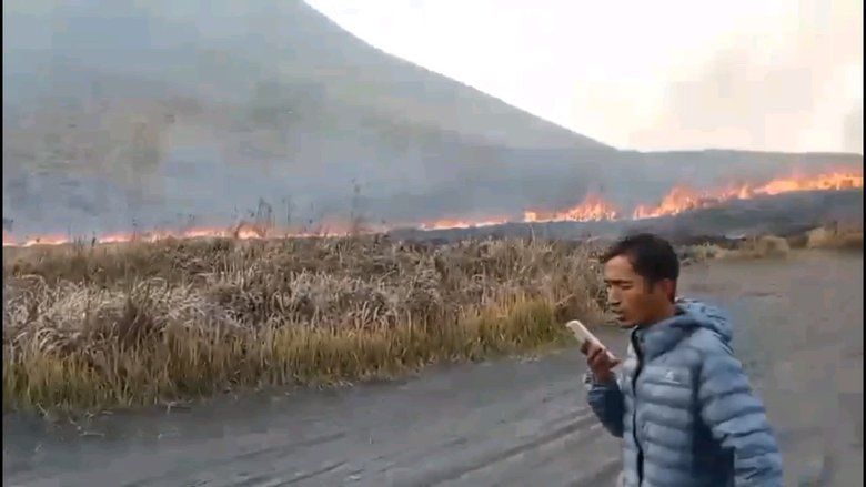 Kebakaran Kembali Muncul di Bromo, Api Merambat ke Arah Bukit Teletubies