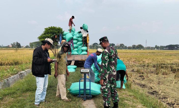 Bulog Jatim Sumbang 25 Persen Serapan Gabah Nasional