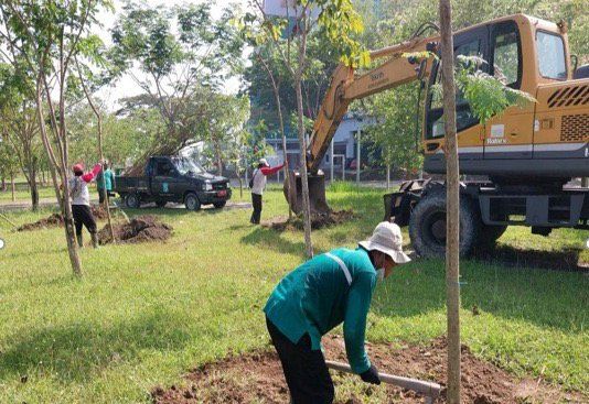 Cegah Dampak dari <em>Global Warming</em>, Surabaya Ditanami 1000 Pohon
