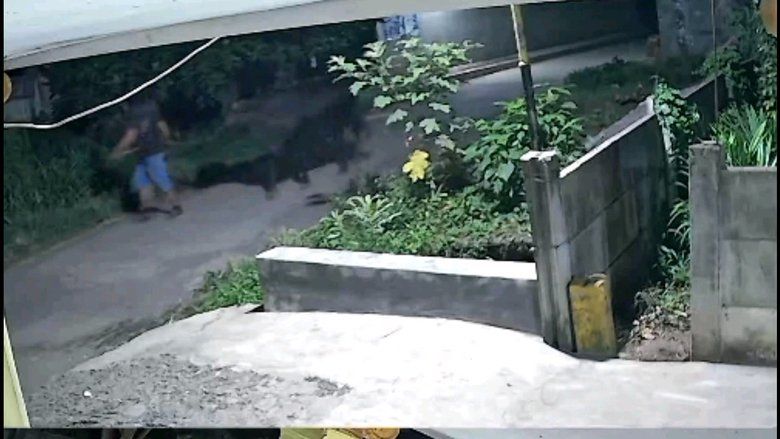 Terekam CCTV, Dua Maling Gondol Sapi Limosin Milik Warga Probolinggo