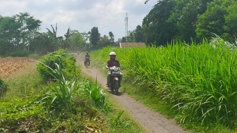 Demi Hindari Operasi Yustisi Prokes, Lintasi Jalur&nbsp; Tikus Persawahan