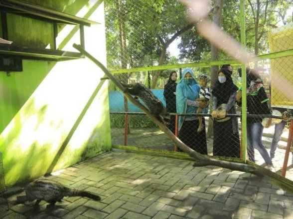 Peringati Hari Lingkungan Hidup Sedunia, TWSL Probolinggo Gelar &ldquo;Larpa&rdquo;