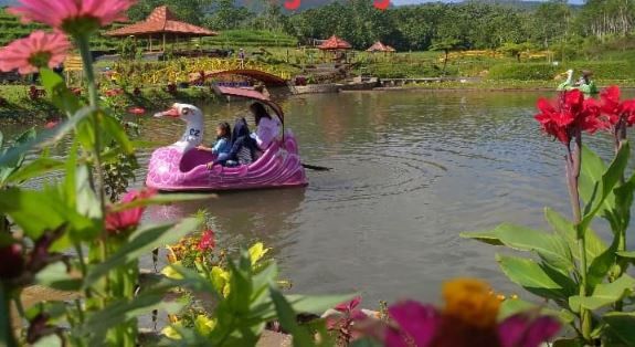 Wisatawan Membeludak, Bermi Ecopark Probolinggo Ditutup