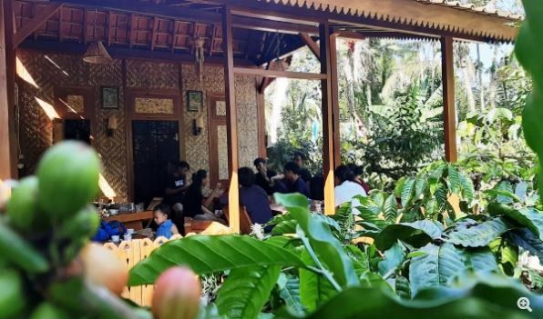 Permintaan Turun Akibat Covid-19, Harga Biji Kopi Anjlok 40 Persen