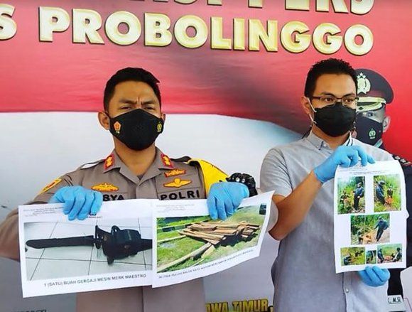 Tebang Kayu di Hutan Lindung, Dua Petani Probolinggo Diamankan