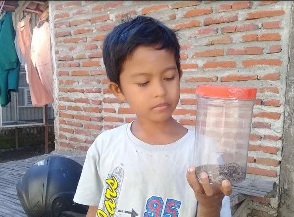 Hewan Dilindungi, Wartawan di Probolinggo Serahkan Ular Sanca ke BKSDA