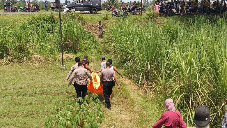 Lansia Tertemper KA Sritanjung di Lintas Tanggul–Jatiroto, KAI Sampaikan Keprihatinan