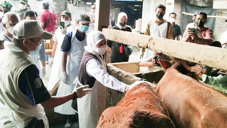 Terjangkit Wabah PMK, Gubernur Jatim Intruksikan Pasar Sapi Tutup Sementara
