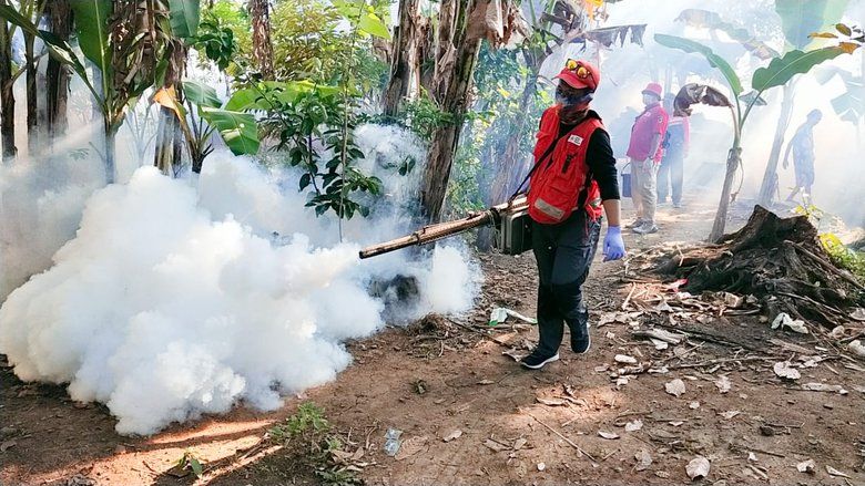 Peningkatan Kasus DBD di Jember Bagian Barat Jadi Perhatian