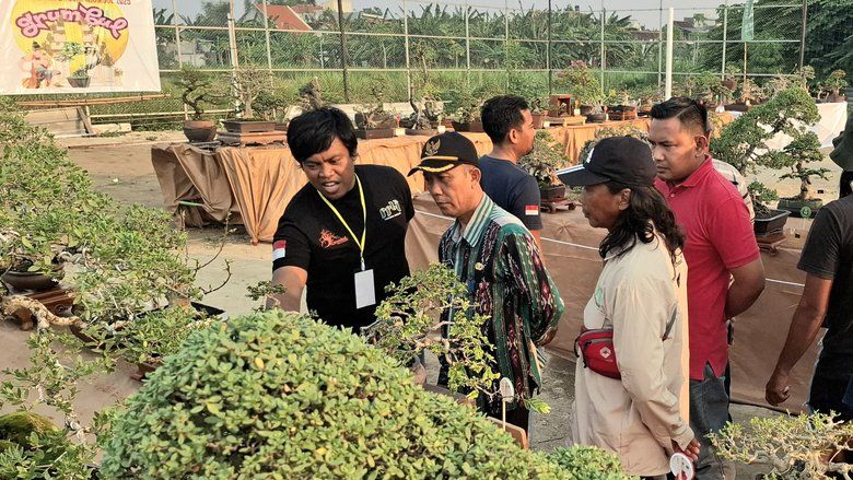 Pameran Bonsai Grumbul 2025, Geliat Ekonomi Kreatif di Cerme Kidul