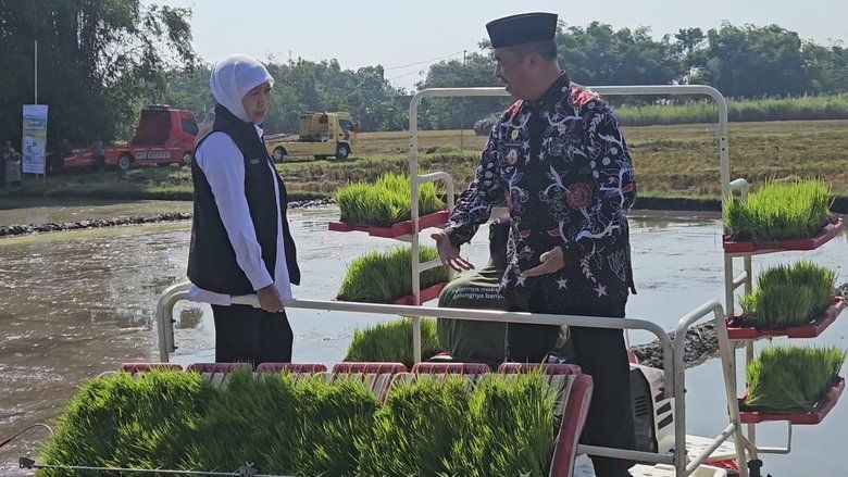 Percepatan Tanam Padi di Jawa Timur, Pemprov Ungkap Strateginya