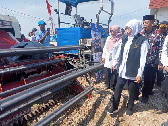 Target Produksi Padi Jatim Naik 5 Persen, Kementan Ingatkan Risiko OPT 