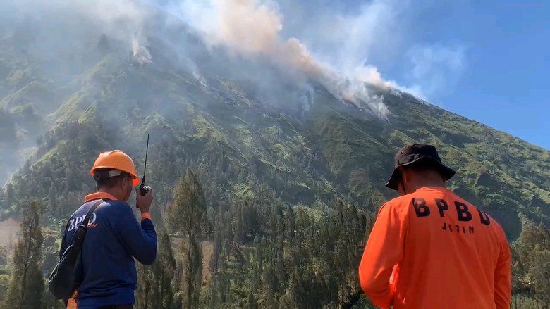 Kebakaran Hutan Kembali Melanda Gunung Ringgit Probolinggo, Api Masih Berkobar hingga Siang
