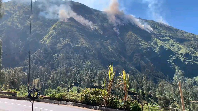 Tebing Curam Hambat Pemadaman Kebakaran Hutan di Gunung Ringgit, Perhutani Andalkan Sekat Alam