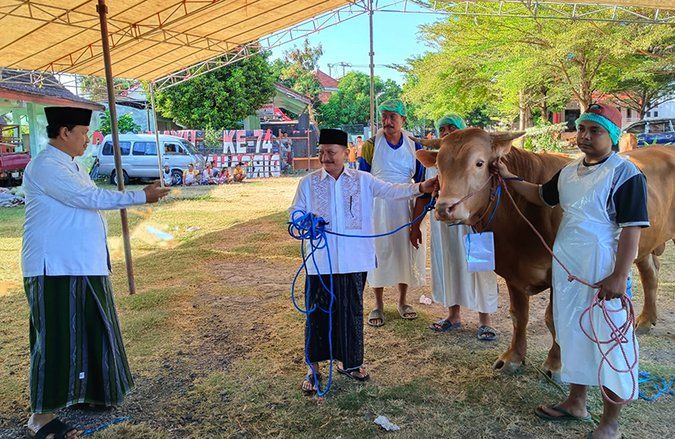 Hari Raya Iduladha, Korpri Pemkab Situbondo Sembelih Hewan Kurban 16 Ekor Sapi