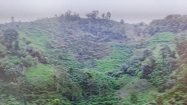 ‎Banjir Bandang di Tiris Probolinggo, Warga Soroti Dugaan Ilegal Logging