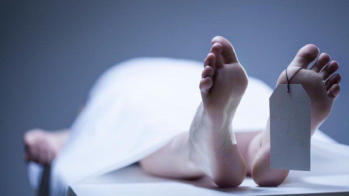 Kerangka Manusia Ditemukan di Hutan Sekitar Bekas Penambangan Emas Ilegal