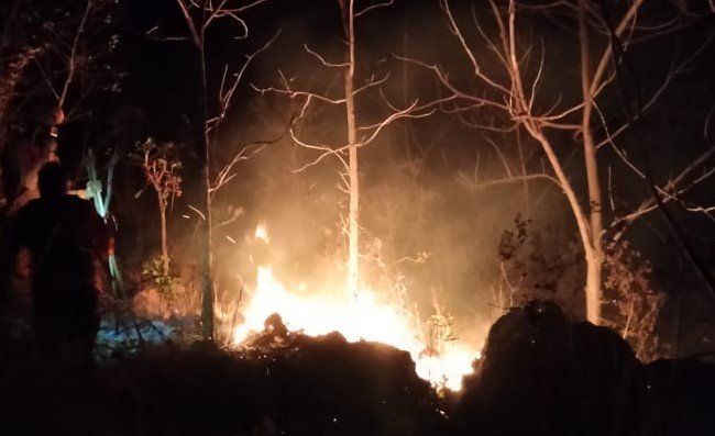 Pandemi COVID-19, Karhutla di Ponorogo Menurun Drastis