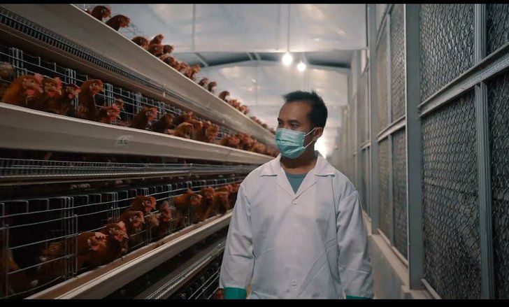 Unibraw Terima Bantuan Tempat Wirausaha Peternakan Ayam dari Charoen Pokpand