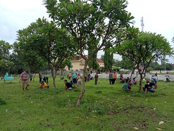 Pelanggar Prokes di Probolinggo Jalani Sanksi Cabuti Rumput Kuburan