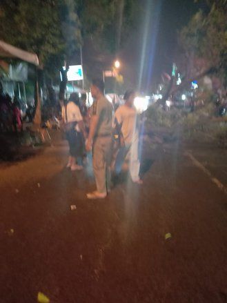 Angin Kencang, Pengendara Motor Tewas Tertimpa Pohon Besar di Mojokerto