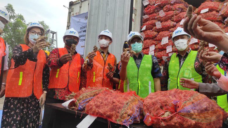 Sebanyak 287,7 Ton Jahe Berparasit asal India dan Myanmar Dimusnahkan
 