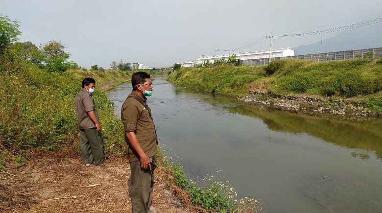 Diduga Sungai Tercemar, Buaya Muncul di Permukaan Sungai Sadar Mojokerto