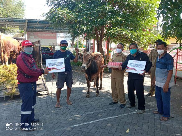 CCEP Berbagi Hewan Kurban untuk Komunitas dan Masyarakat sekitar Pabrik