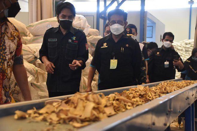 Dukung Industri Porang, Menteri Pertanian Kunjungi Pabrik Pengolahan Porang di Madiun
