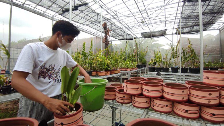 Masih SMA, Sukses Budidaya Anggrek dengan Omzet Puluhan Juta