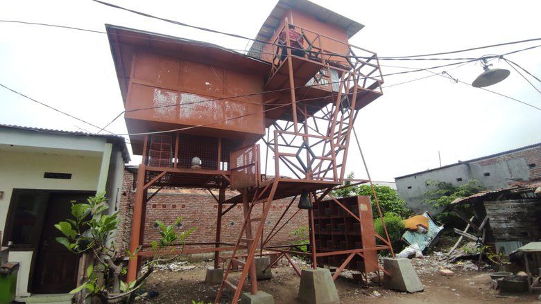 Hobi Pelihara Burung Dara, Warga Mojokerto Bangun Pagupon Rp60 Juta