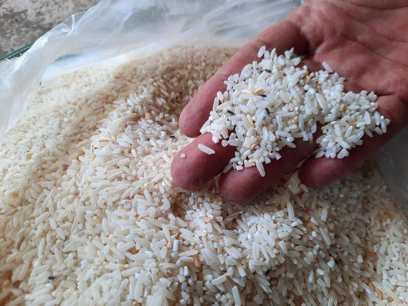 Berkutu dan Apek, Warga Mojokerto Keluhkan Buruknya Kualitas Beras BPNT
 