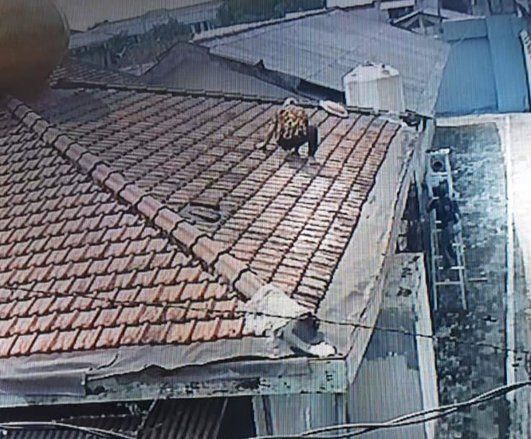 Lapas Kelas IIB Mojokerto Pergok WBP Ambil Sabu Dalam Popok Bayi di Atap Masjid