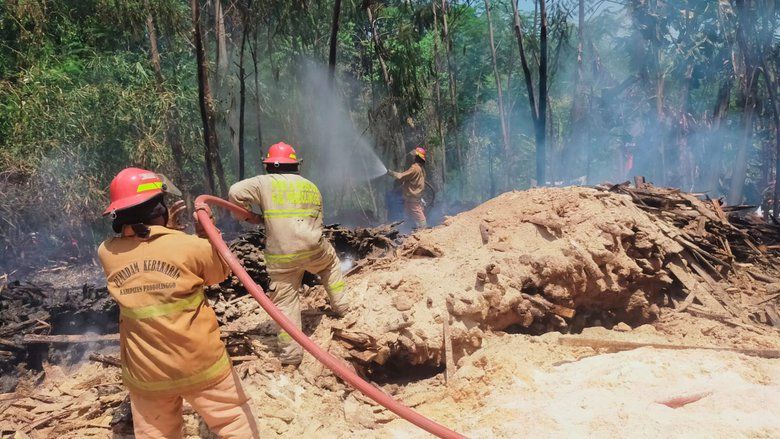Tempat Pemotongan Kayu Sengon di Banyuanyar Probolinggo Kebakaran

 