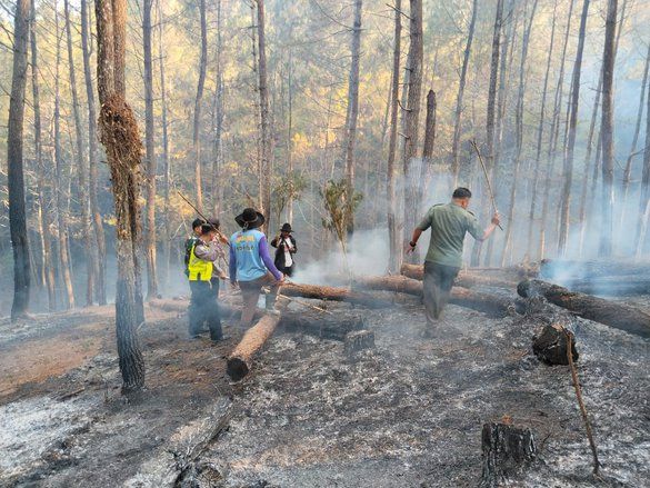 Hutan Di Petungsewu Malang Terbakar