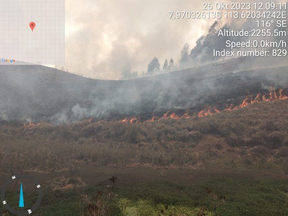 Savana Kawasan Suaka Margasatwa Lereng Gunung Argopuro Kebakaran