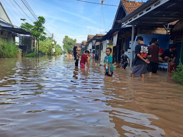 Tanggul Jebol, Hampir 100 Hektar Sawah Terancam Gagal Panen