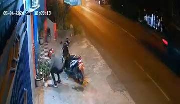 Di Kantor Properti, Pencuri Ini Dua Kali Curi Pot dan Tanaman Hias Murah