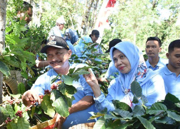 Kopi Arabika Kayumas di Ekspor ke Amerika, Bupati Ajak Petani Jaga Kualitas