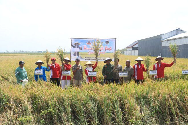 Bupati Ikfina Imbau Petani Padi Terus Manfaatkan Urine Kelinci sebagai Pupuk