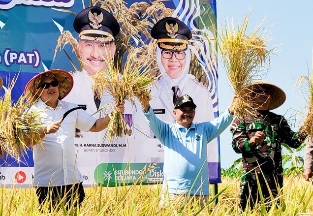 Ikut Panen Padi BK 01 dan BK 02 Agritan, Pj Gubernur Jatim Puji Bupati Situbondo