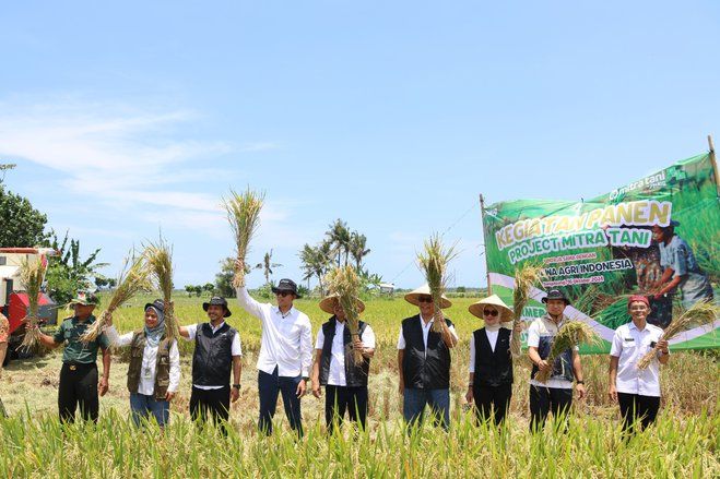 Panen Raya di Banyuwangi, Bulog Genjot Produksi Padi lewat Mitra Tani