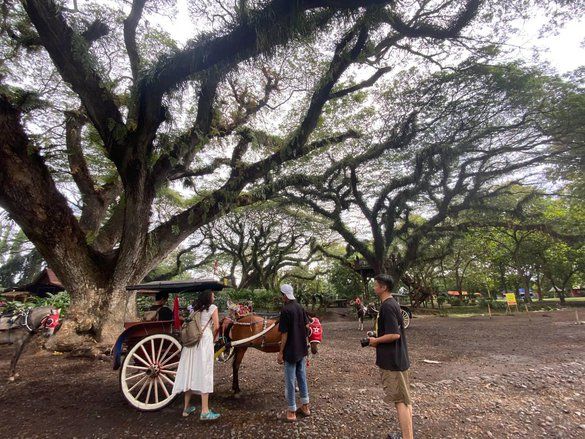 Libur Panjang Waisak, Ribuan Pelancong Padati Destinasi Wisata Banyuwangi