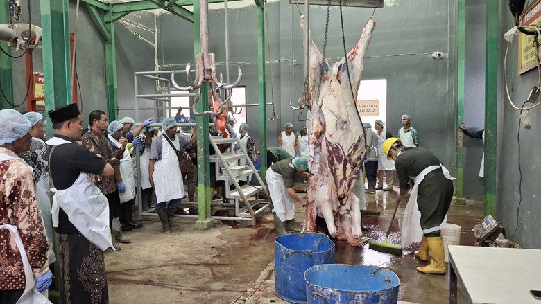 Jamin Daging Kurban Aman, DKP2P Tuban Latih 100 Juleha

&nbsp;